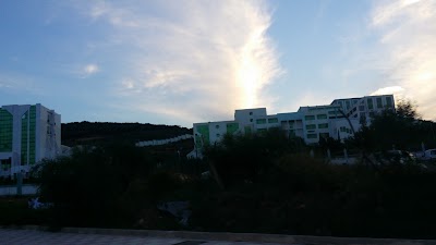 Photos of University of Guelma (Central School)