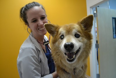 Fairfax Animal Hospital