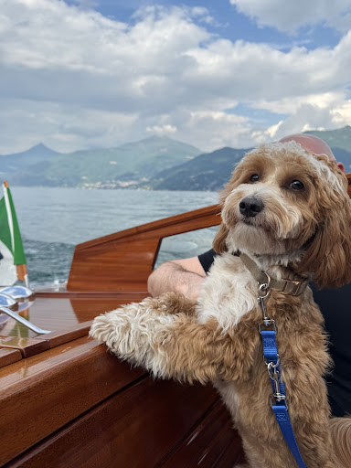 Boat2go - Visual