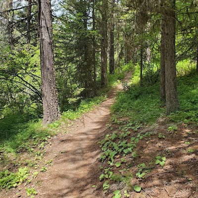 Rattlesnake Trailhead