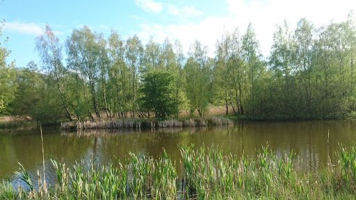 Vallåskyrkan - Thumbnail