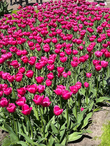 Family Market Volos - Παντοπωλείο