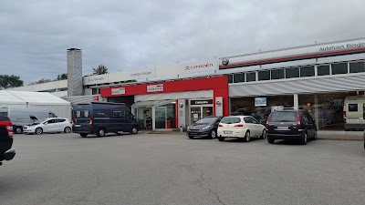 car-dealer