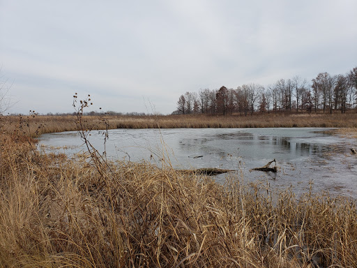 Deer Grove East