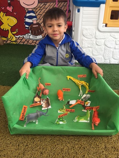 Photos of Kingdom Of Children