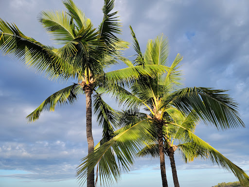Two Step Beach - Visual