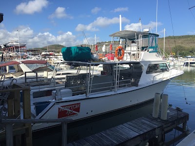 Photos of SS Tobias Snorkel and Beach Tours