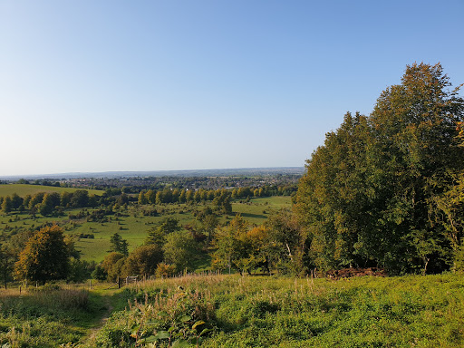 Tring Park - Visual