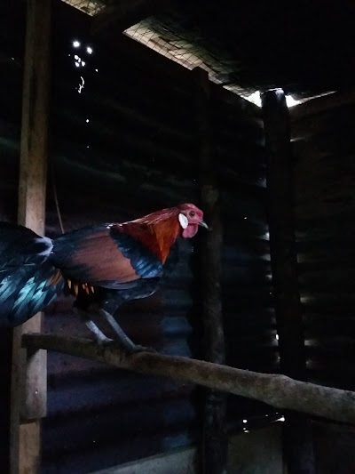 Photos of Gonting Malaha Enterprise