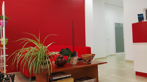 Osteopata Eduardo Santana