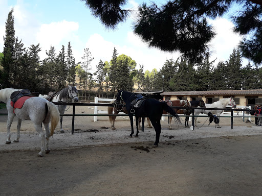 Club Hípica Julivert | Rutes a cavall - Thumbnail