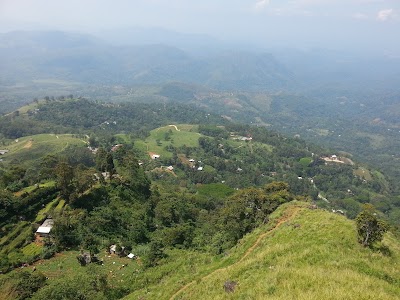Photos of TEA SHOP
