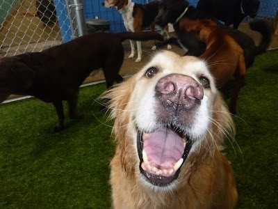 Photos of Cascade Hospital for Animals