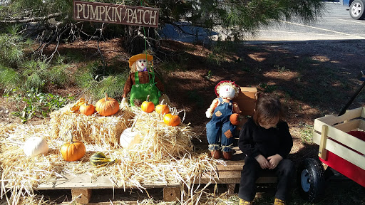 Pumpkin Patch Pre-School - Visual