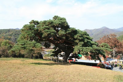 Photos of Jeoksangsan