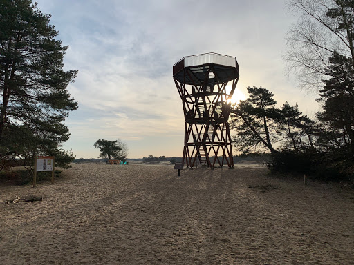 Het Kootwijkerzand - Thumbnail