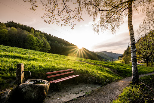Schwarzwald Tourismus Kinzigtal e.V. - Thumbnail