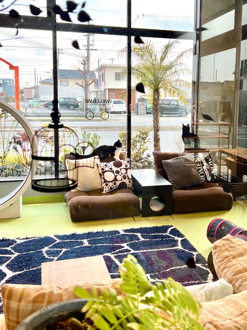 猫のおうち NECON(ねこん)