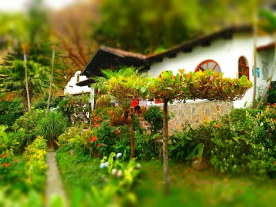 Photos of Hotel Jinava