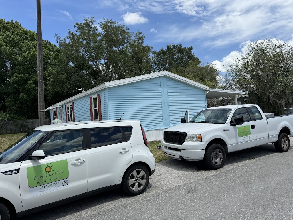 Emergency Mold Removal LLC. photo