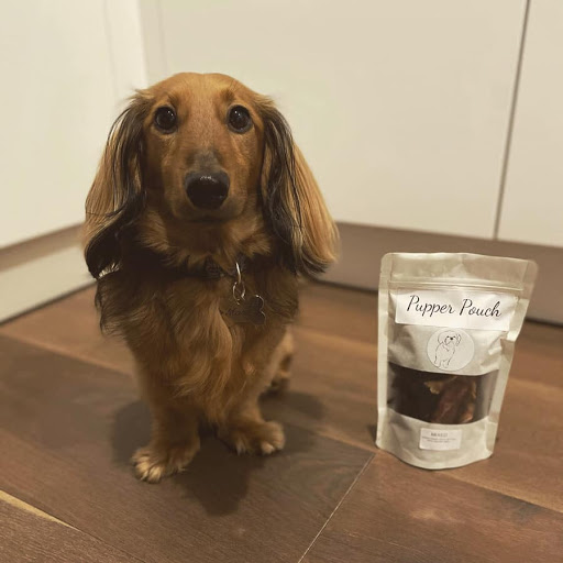 Pupper Pouch - Visual