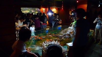 Photos of Tai Ping Yang Underwater World Exhibition
