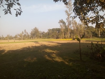 Photos of SarkarPara Jame Mosjid