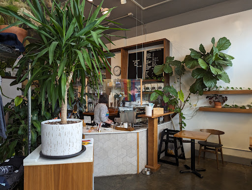 Moonshot Coffee - Visual