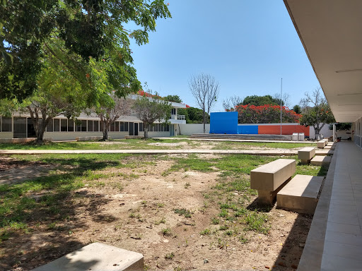 Campus Administración Central UADY