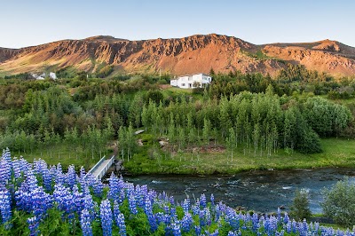 Photos of Iceland's Guesthouse Axelsh&uacute;si