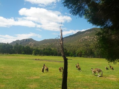 Photos of Halls Gap