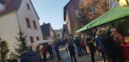 Dorfgemeinschaftshaus Bobenheim am Berg - Thumbnail