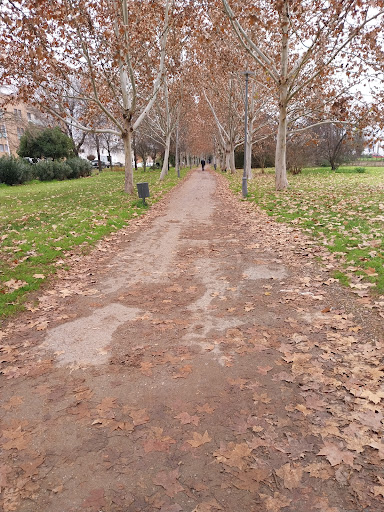 Río Albarregas Park - Thumbnail