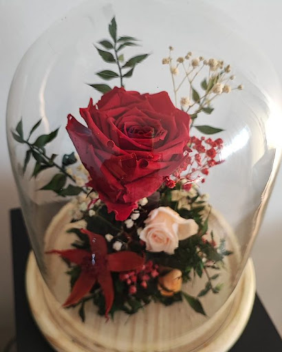 RegaloNatural - Visual