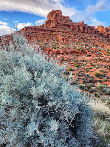 Dino Cliffs Trailhead - Thumbnail