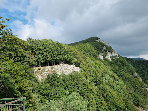 Ripa Della Falconara - Thumbnail