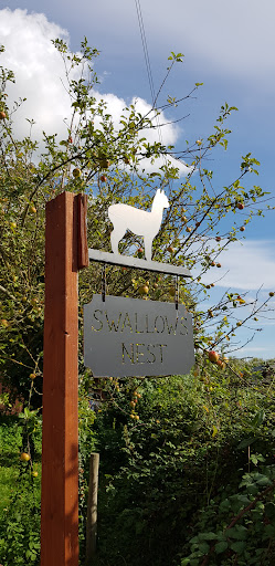 Cwtch Glamping - Visual