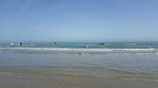 Stella Del Mare - Thumbnail