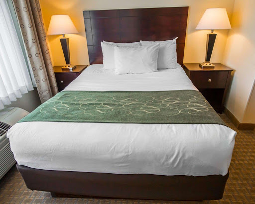 Comfort Suites University Area Notre Dame-South Bend - Thumbnail
