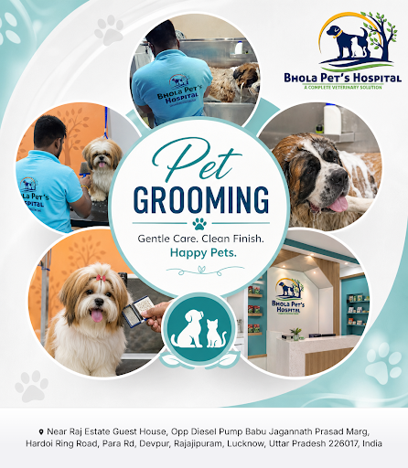 Bhola Pet's Hospital pet clinic offers expert pet grooming services to keep your furry friends he… post image