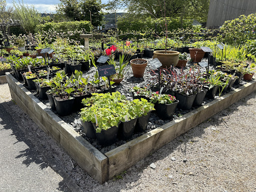 Ford Park Plant Nursery - Thumbnail