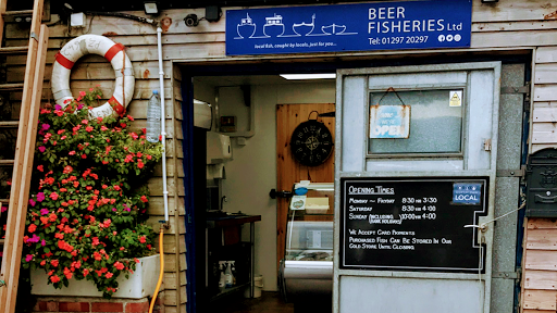 Beer Fisheries Ltd