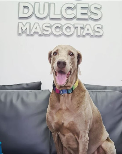 Clínica Veterinaria Dulces Mascotas