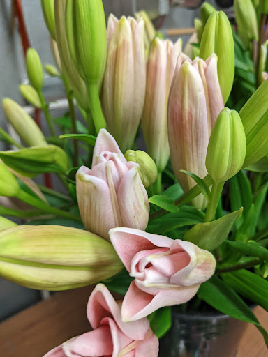 Gilded Lily Florist - Thumbnail