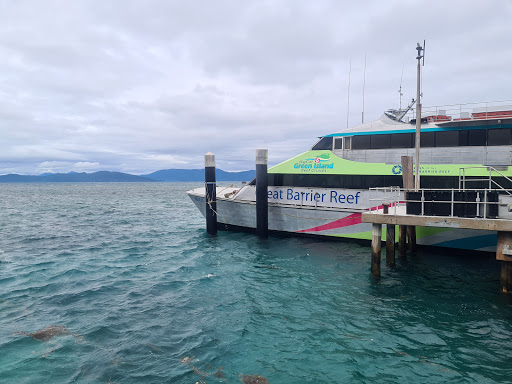 Big Cat Green Island Reef Cruises - Thumbnail