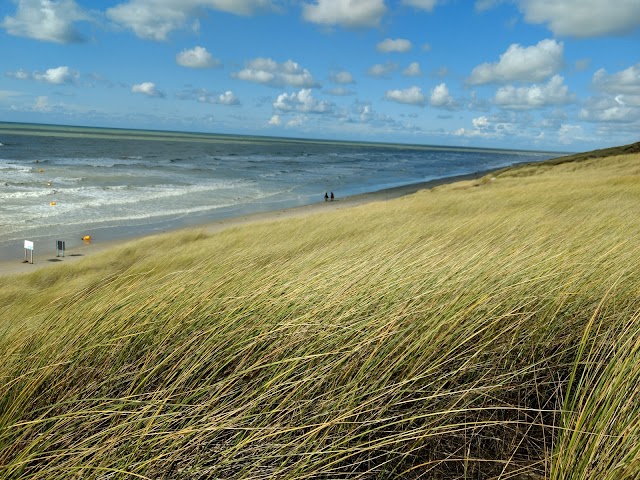 Plage de Fort-Mahon