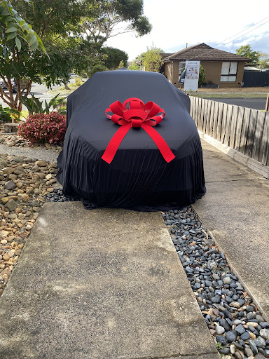 Werribee MG - Visual