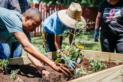 Nashville Community Education