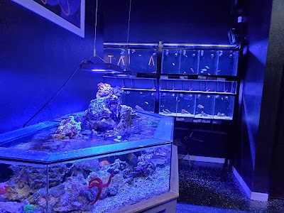 Aquatica Corals and Custom Aquariums