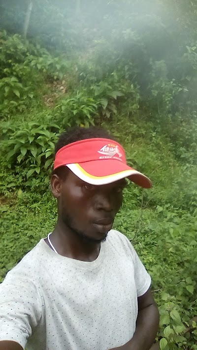 Photos of Omanhene Park